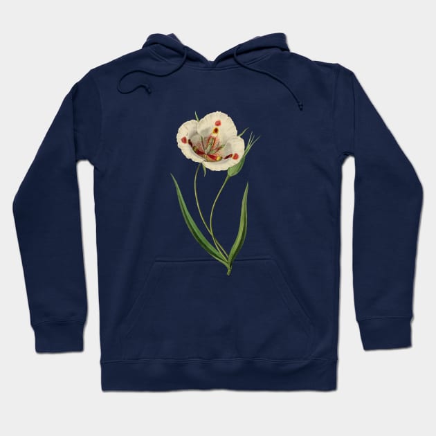 White botanical flower Hoodie by chris@christinearnold.com